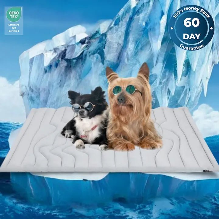 DoggieCool™ Summer Cooling Pad - Kindipaws